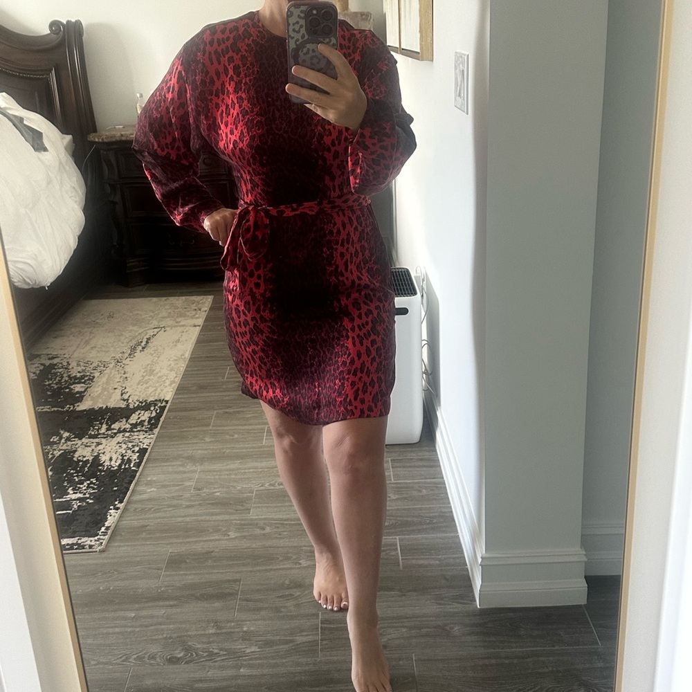 Equipment Red and Black Leopard Print Silk Dress Size 6